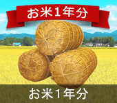 お米１年分