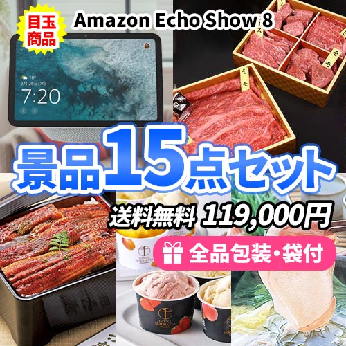 sa0129 人気の商品ばかりを集めた景品15点セット